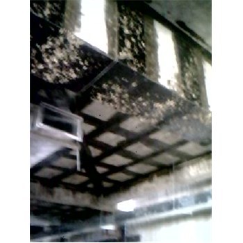 聊城房屋碳纖維加固修補-企匯網